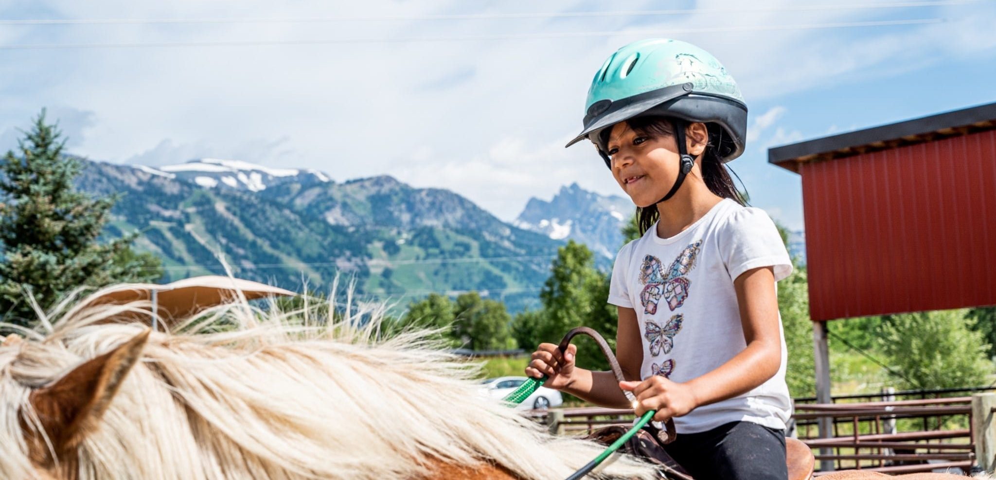 English Horseback Riding